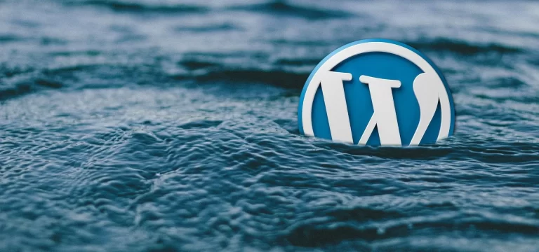 WordPress 911 Rescue by WSO.host